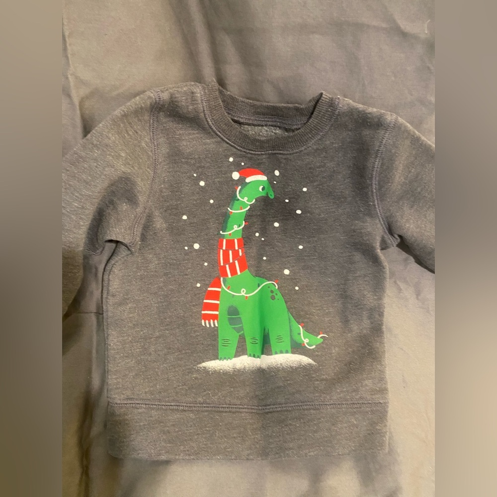 EUC Christmas dinosaur sweatshirt 12mo